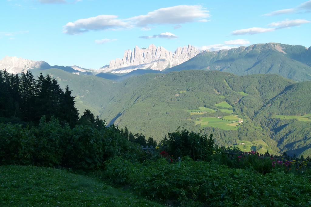 Zolerhof Daire Feldthurns Dış mekan fotoğraf